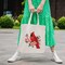 Canvas Tote Bag Embroidery Kit for Beginners,Cross Stitch Kits for Adults,DIY Needlepoint Include Cardinal Pattern,Women Shopping Reusable Grocery Bags